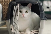 おすすめ記事1
