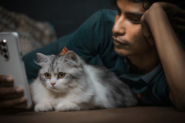 X,ハッシュタグ,ポスト,投稿,犬,猫