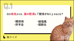 記事カテゴリ第1位