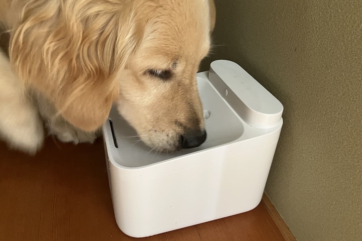 Xiaomi スマートペット給水器,給水器,アプリ,多頭飼い,犬
