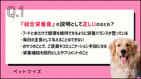 【クイズ】ペットフードの与え方を正しく知ろう！のアイキャッチ画像