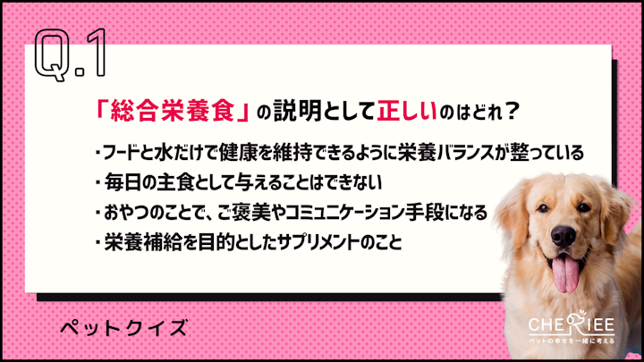 【クイズ】ペットフードの与え方を正しく知ろう！のアイキャッチ画像