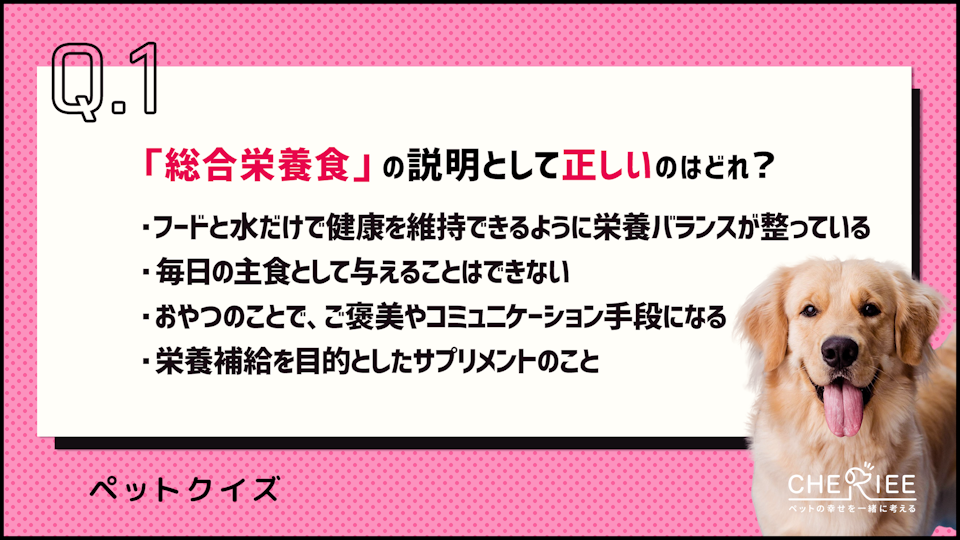 【クイズ】ペットフードの与え方を正しく知ろう!