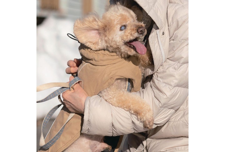アニドネ,アニマル・ドネーション,動物福祉,保護団体,保護犬,保護猫