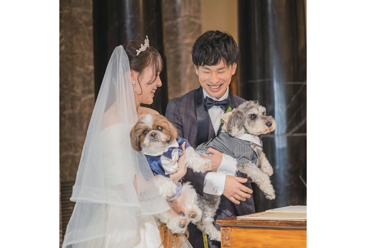 アニドネ,アニマル・ドネーション,動物福祉,保護団体,保護犬,保護猫