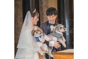 アニドネ,アニマル・ドネーション,動物福祉,保護団体,保護犬,保護猫