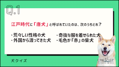 記事カテゴリ第1位