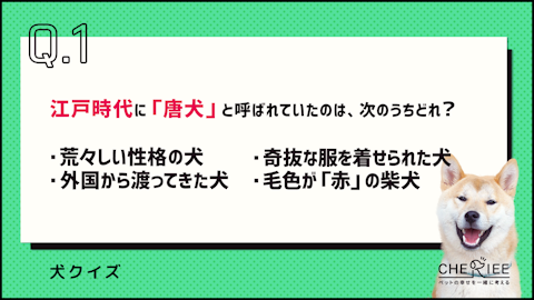 【クイズ】思わず誰かに話したくなる！楽しい犬の雑学②のアイキャッチ画像