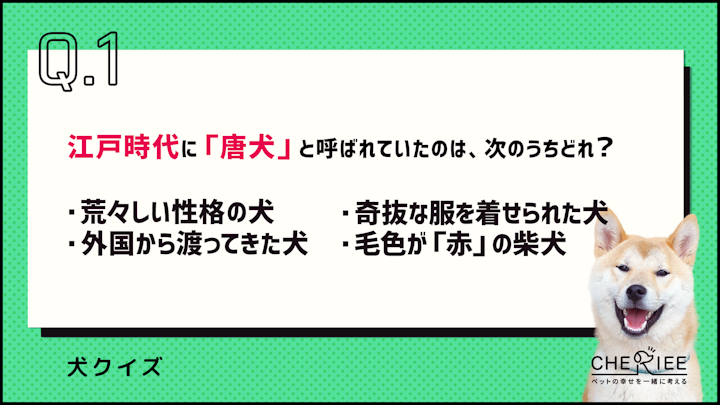 【クイズ】思わず誰かに話したくなる！楽しい犬の雑学②のアイキャッチ画像