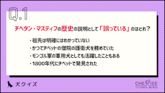 記事カテゴリ第4位
