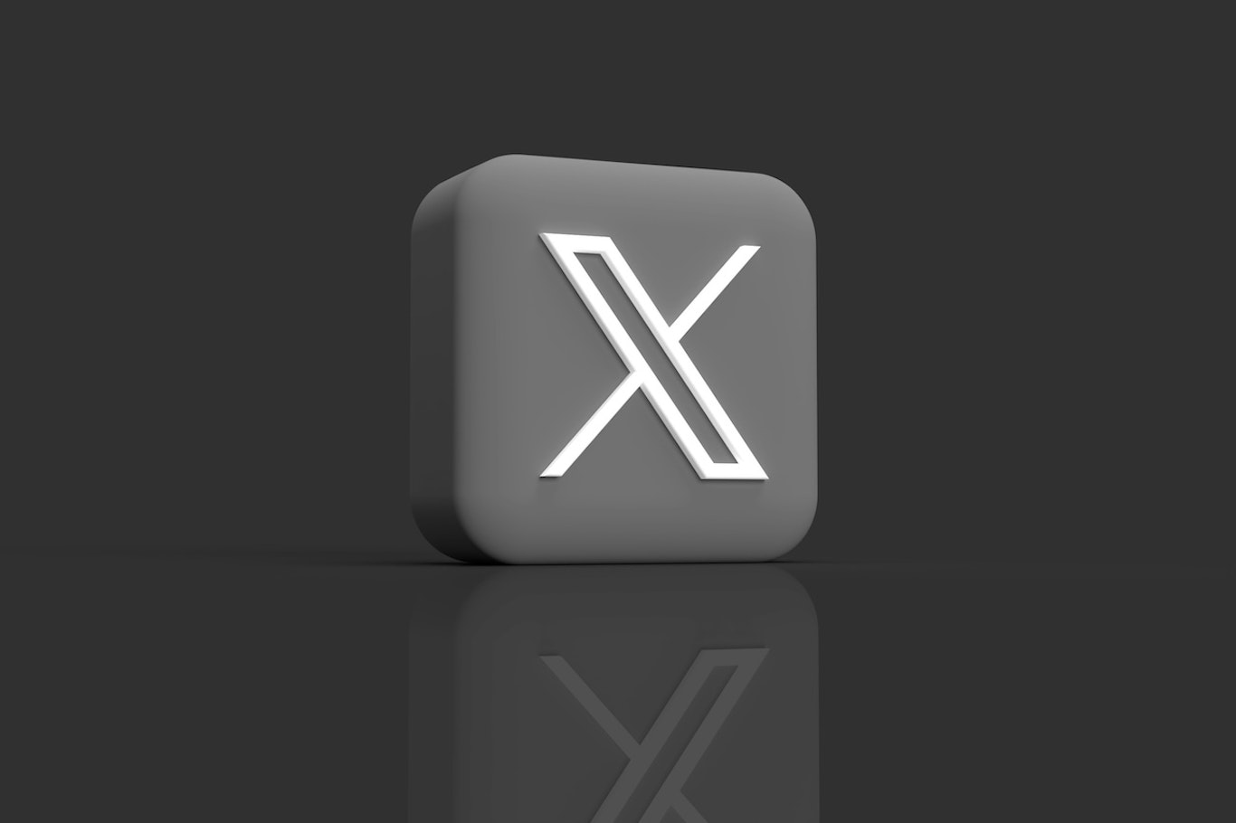 笑える！世界の犬猫おもしろポスト＆Xのハッシュタグまとめ