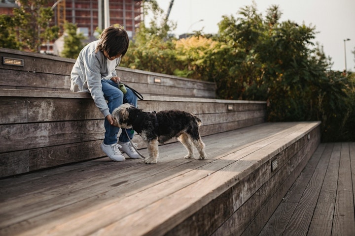 しつけ,性格,散歩,初心者,飼いやすい,犬,犬種