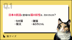 記事カテゴリ第1位