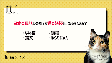 【クイズ】どれだけ知ってる？もっと猫が好きになる雑学クイズのアイキャッチ画像