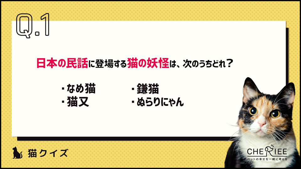 【クイズ】どれだけ知ってる?もっと猫が好きになる雑学クイズ