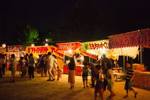 アカミミガメ,お祭り,ミシシッピアカミミガメ,ミドリガメ,亀すくい,条件付特定外来生物