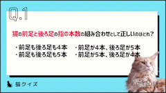 おすすめ記事1