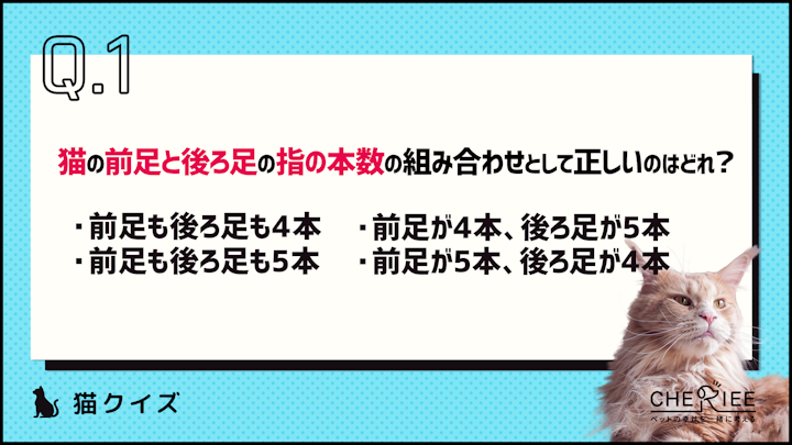 【クイズ】あの有名な文豪の名がついた猫の多指症ってどんな病気？のアイキャッチ画像