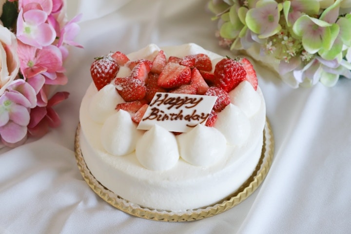 誕生日,過ごし方,プレゼント,ケーキ,ドッグラン,旅行