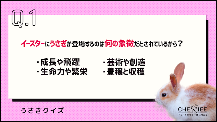 【クイズ】あなたはいくつ正解できる？うさぎの雑学クイズのアイキャッチ画像