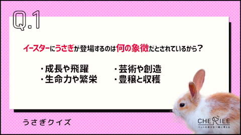 【クイズ】あなたはいくつ正解できる?うさぎの雑学クイズのアイキャッチ画像