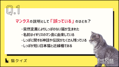 おすすめ記事1