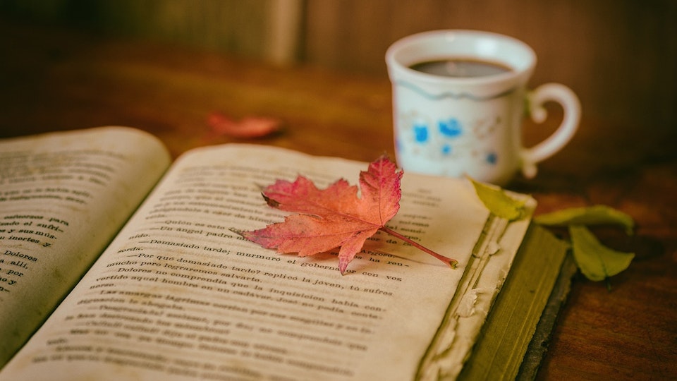 犬にまつわるおすすめの本を紹介!秋の読書タイムに