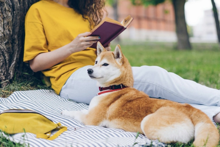 絵本,小説,犬,本,読書
