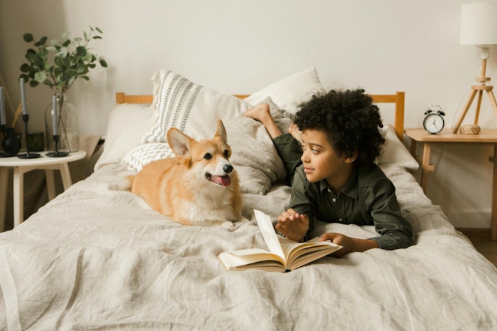 絵本,小説,犬,本,読書
