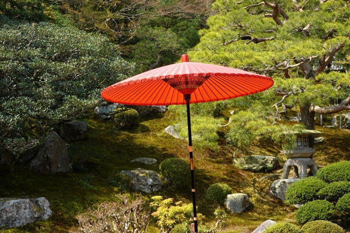 江戸時代,暮らし,生類憐みの令,動物保護法,犬