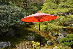 江戸時代,暮らし,生類憐みの令,動物保護法,犬