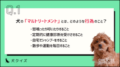 おすすめ記事1