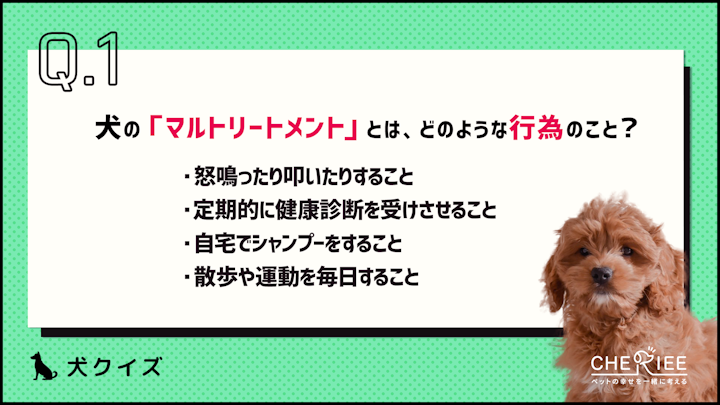 【クイズ】子犬の飼い主必見！マルトリートメントって知ってる？のアイキャッチ画像