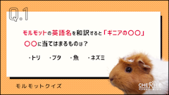 記事カテゴリ第5位