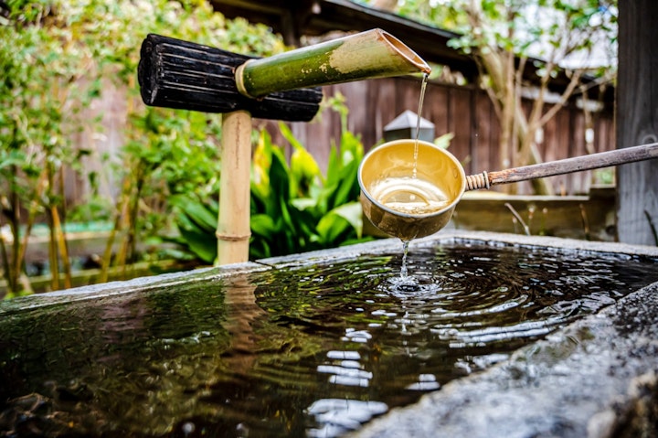 七五三,犬,祈願,着物,神社