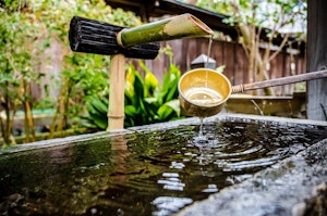 七五三,犬,祈願,着物,神社