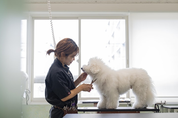 宮城県,仙台,ドッグラン,ドッグカフェ,一時預かり,ホテル,トリミング,保育園,トータルケア,健康寿命