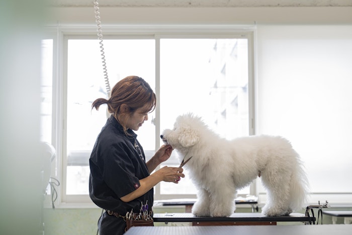 宮城県,仙台,ドッグラン,ドッグカフェ,一時預かり,ホテル,トリミング,保育園,トータルケア,健康寿命