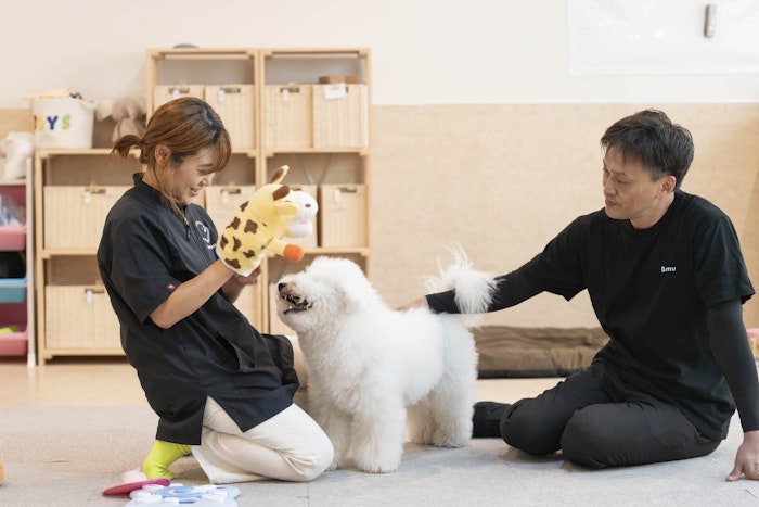 宮城県,仙台,ドッグラン,ドッグカフェ,一時預かり,ホテル,トリミング,保育園,トータルケア,健康寿命