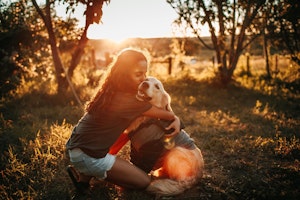 犬種,シベリアン・ハスキー,体験,ブーム,選び方