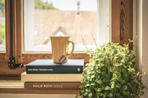 お手入れ,飼い方,種類,品種,牧草,モルモット