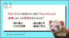おすすめ記事1