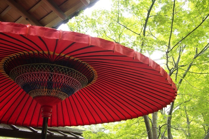 古典文学,犬,白い,物語,歴史