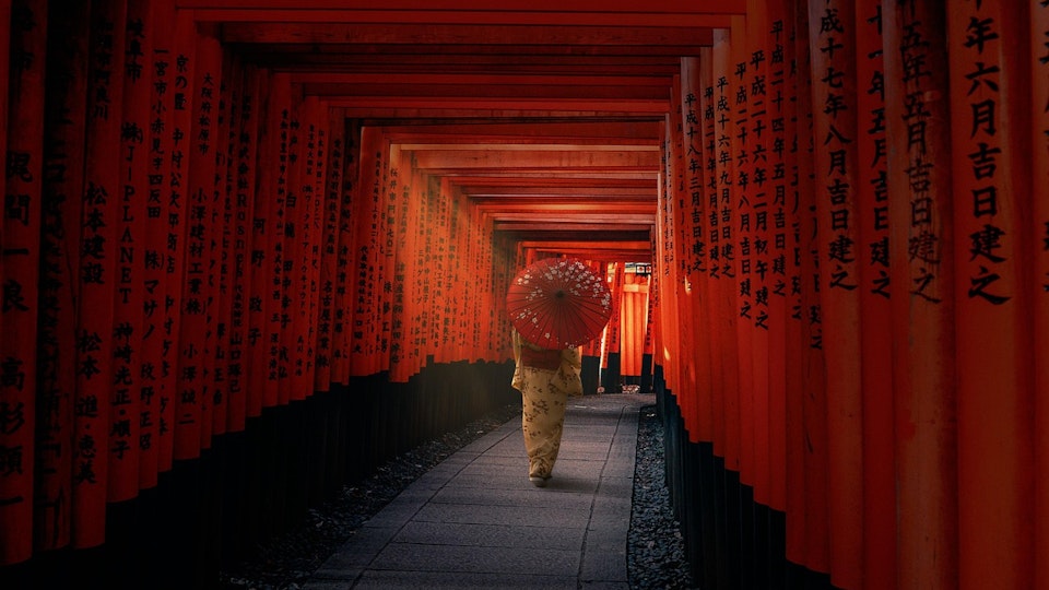 犬が活躍する古典文学は?日本人と一緒に暮らしてきた歴史も解説