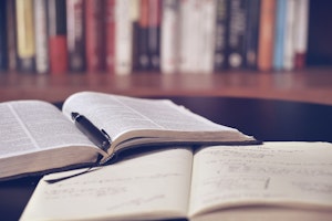 柄,性格,遺伝子,猫,毛色