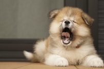 おすすめ記事1