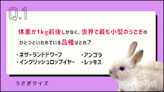 記事カテゴリ第1位