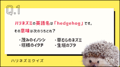 おすすめ記事1