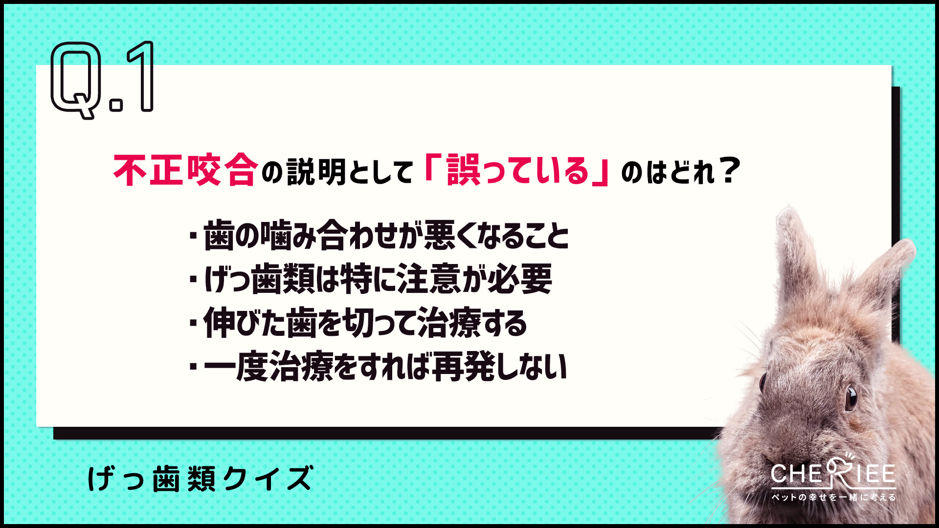 【クイズ】命に関わることも！不正咬合ってどんな病気？