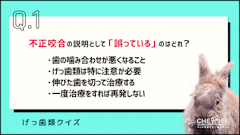 記事カテゴリ第1位